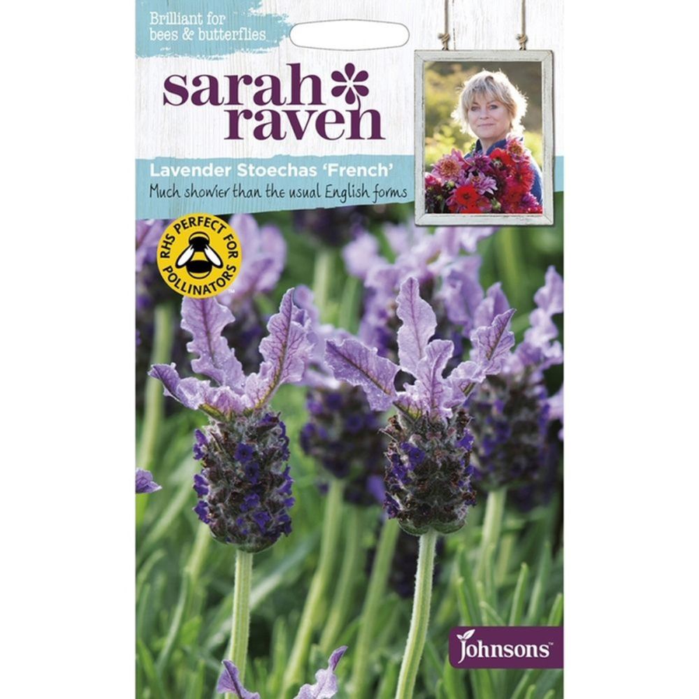 LAVENDER STOECHAS FRENCH seeds